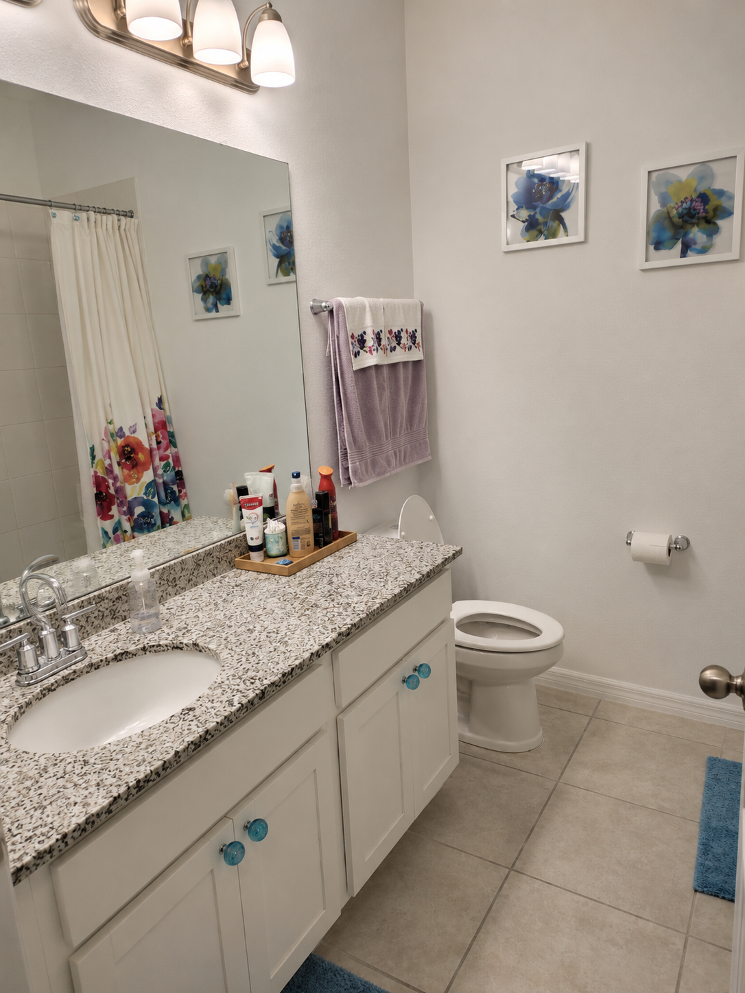 Guest bathroom